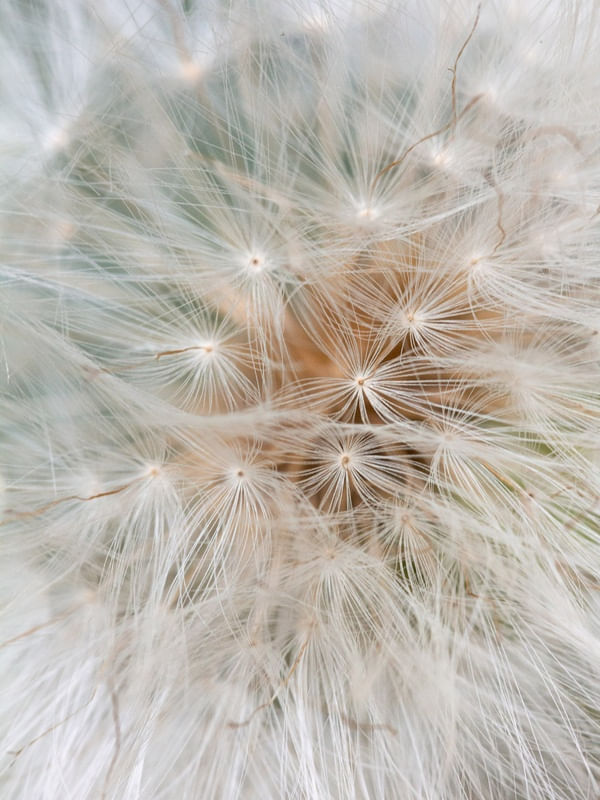 TINY CONECCTIONS 2