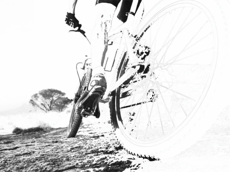 PEDALANDO
