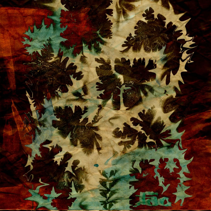 ROOTS OF HUMANITY