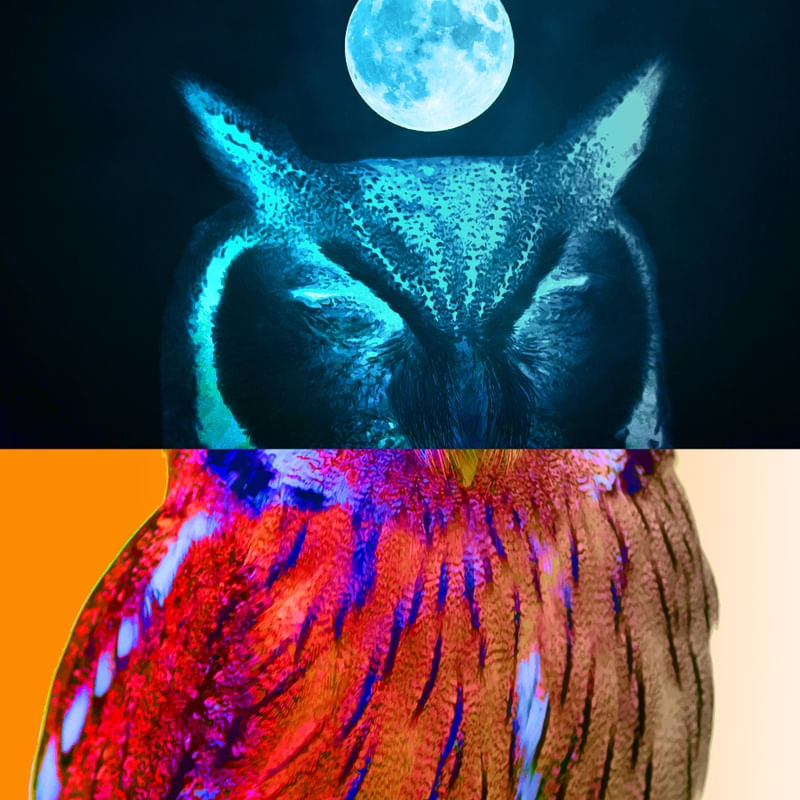 SENTINELA