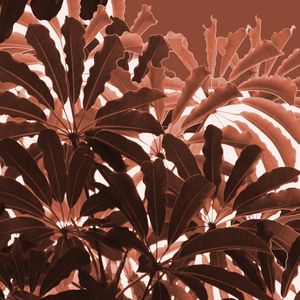 NATUREZA FOLHAGENS TERROSAS ARTISTA GLORIA RIMES