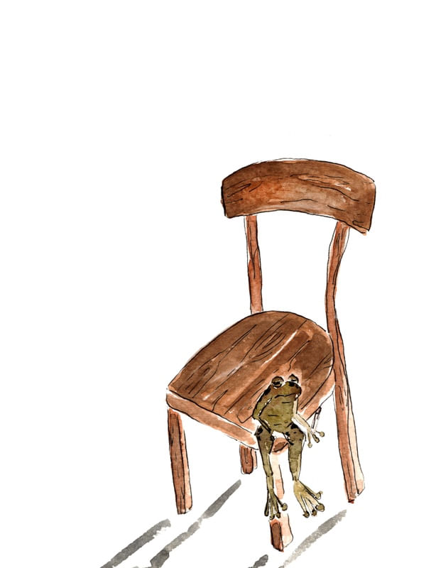 MR. FROG