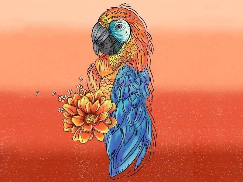 ARARA COLORIDA E FLORES2
