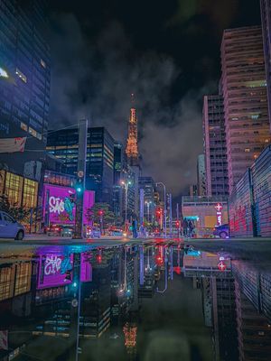 REFLEXO PAULISTA