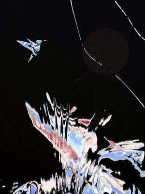 BEIJA-FLOR (ALKNAIRER)