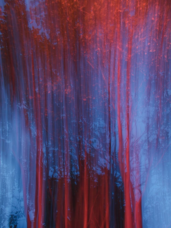 INTENSIDADE CREPUSCULAR