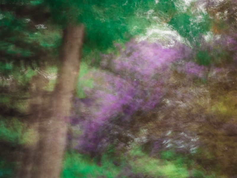 SONHO DA PRIMAVERA ABSTRATA