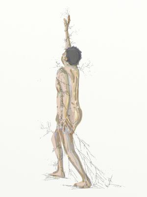 O DOMADOR DE RAÍZES (BODIES 25)