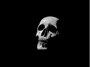 POST MORTEM - PAISAGEM