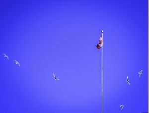 FLY TO CANADA