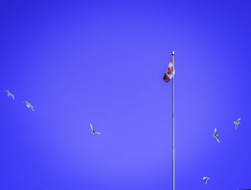 FLY TO CANADA
