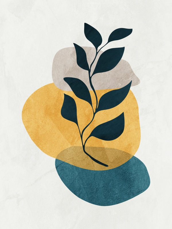 BOTANICO - 13D