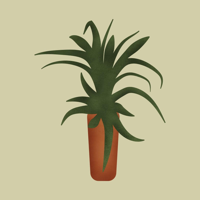 PLANTA COM VASO