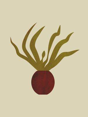 PLANTA MINIMAL