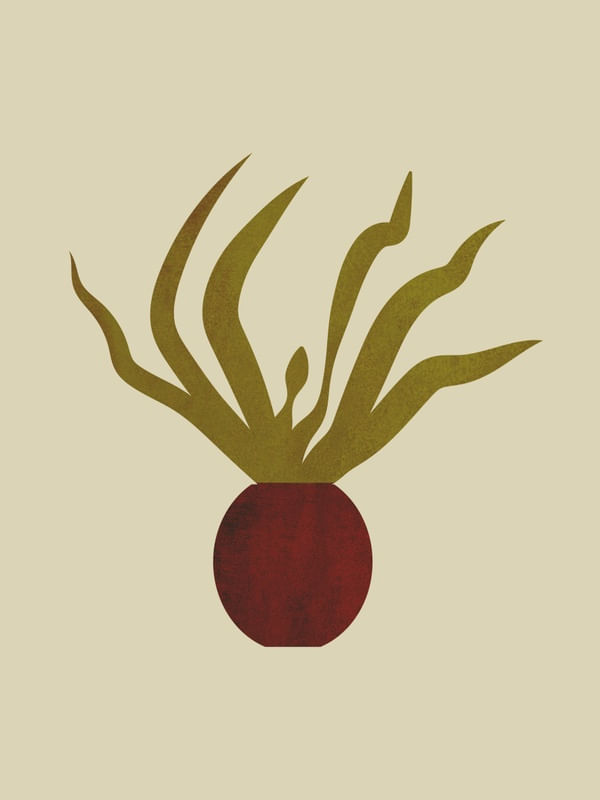 PLANTA MINIMAL