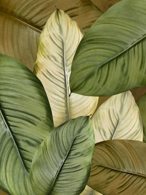 SELVA DE FOLHAS