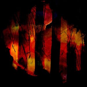 AMAZON ON FIRE