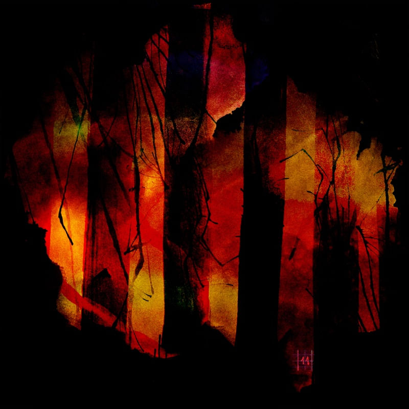 AMAZON ON FIRE