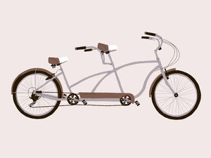TANDEM BIKE 2