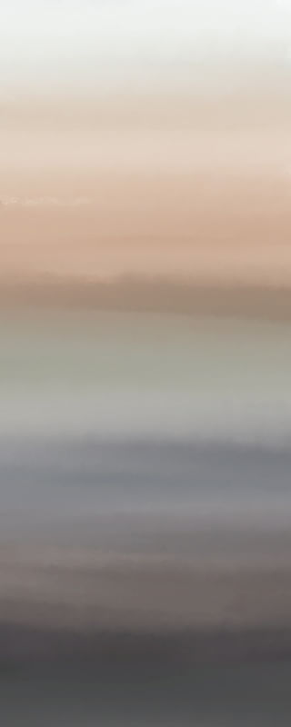 OS CINCO ELEMENTOS