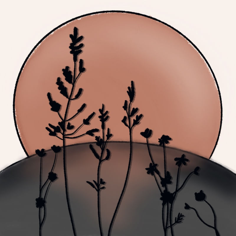 O SOL E O HORIZONTE COMPOSIÇÃO