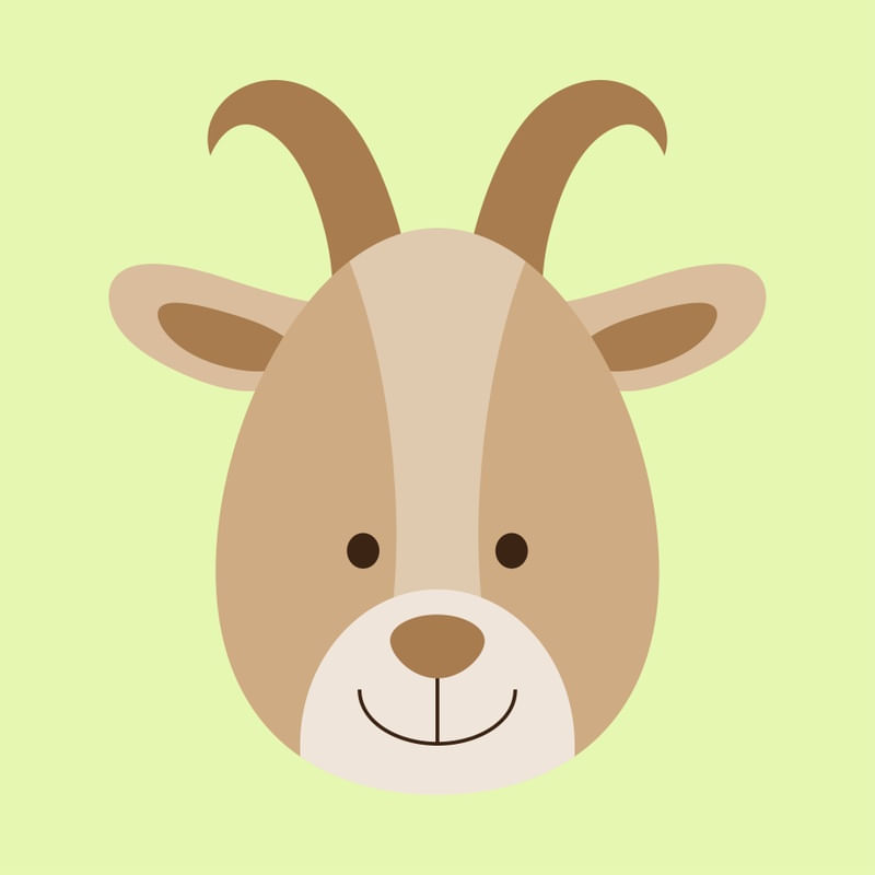 ANIMAIS XI