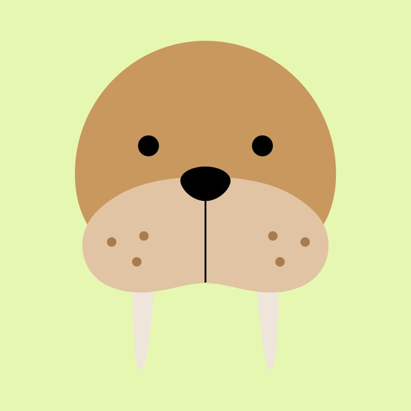 ANIMAIS XIII