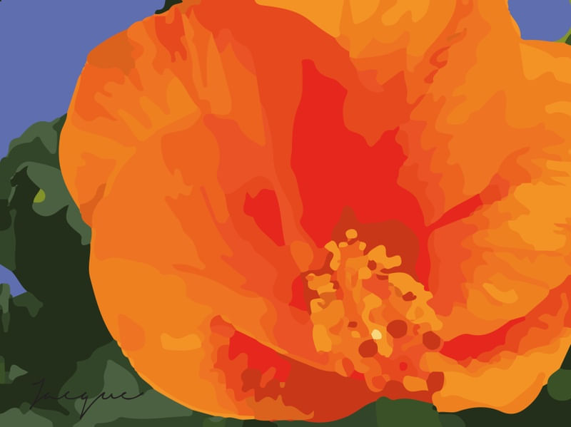 FLOR LARANJA 7