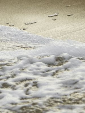 GOLDEN SPUME