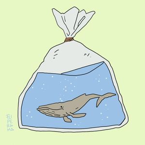 PET WHALE