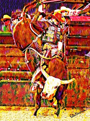 O COWBOY E O TOURO NO RODEIO