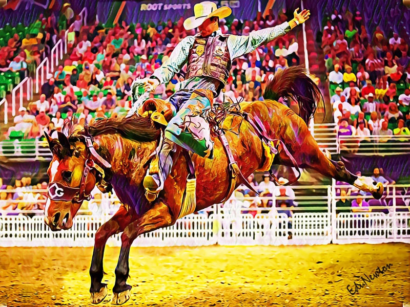O COWBOY E SEU CAVALO NO RODEIO