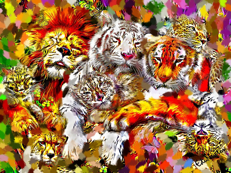FOFURAS FELINAS