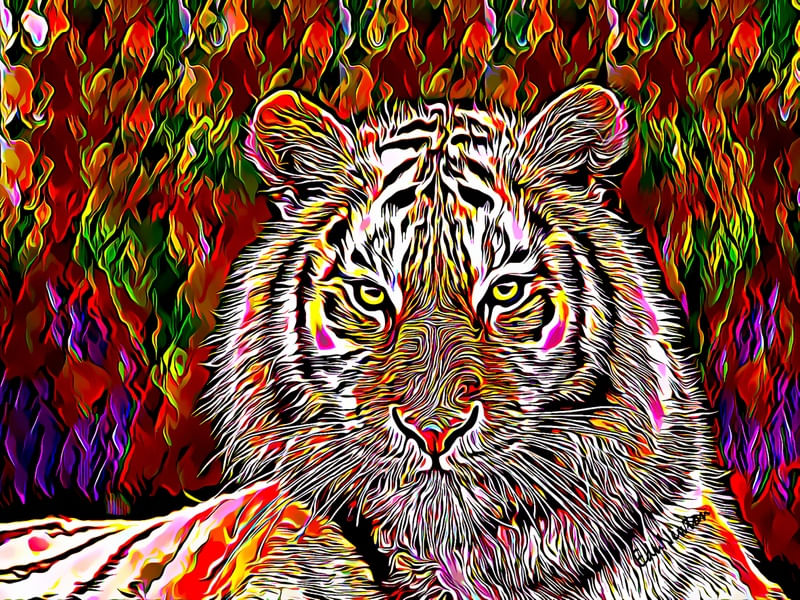 TIGRE AFRICANO - BELEZA FELINA