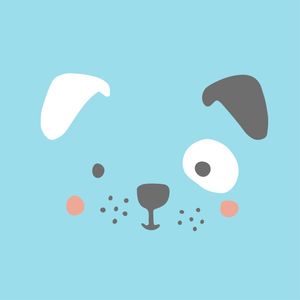 PETZ XV