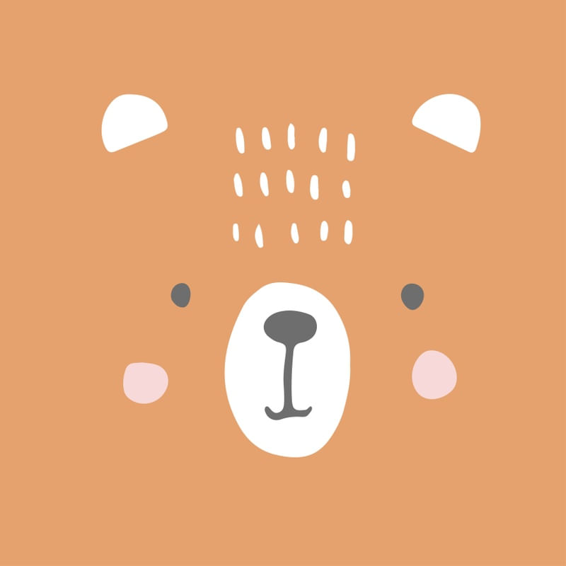 PETZ XXVIII