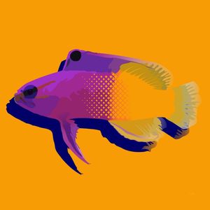 SEA FISH 5