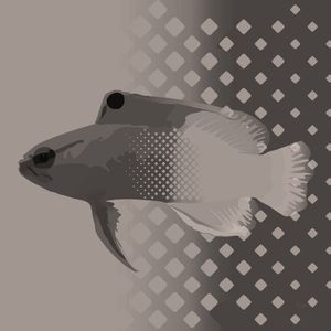 SEA FISH 7