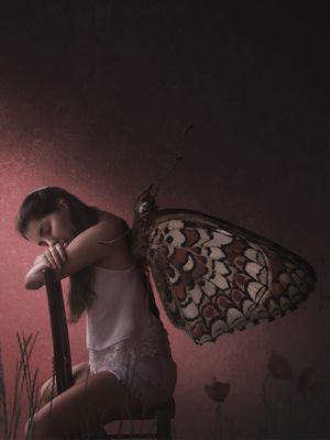 COCOON - CASULO