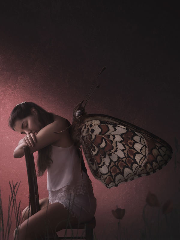COCOON - CASULO