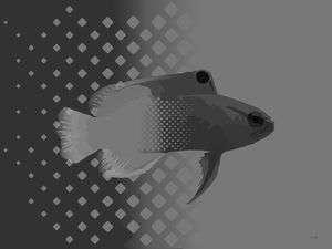 SEA FISH 3