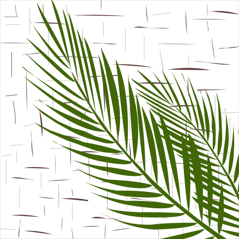 DECO VERDE