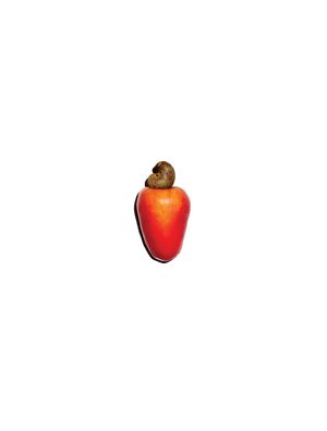 FRUTAS BRASILEIRAS - CAJÚ