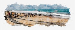 PESCA ARRASTAO