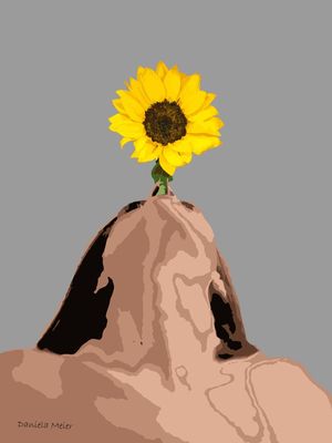 MISS SUNFLOWER