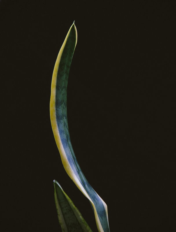 ESPADA DE OGUM