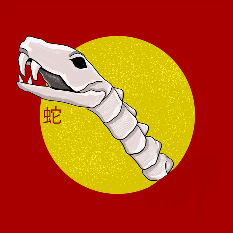 SIGNO CHINÊS - COBRA
