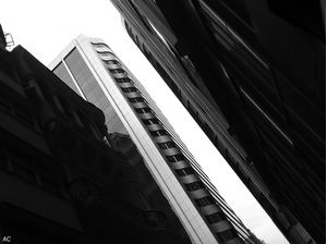 O CONTRASTE VIII