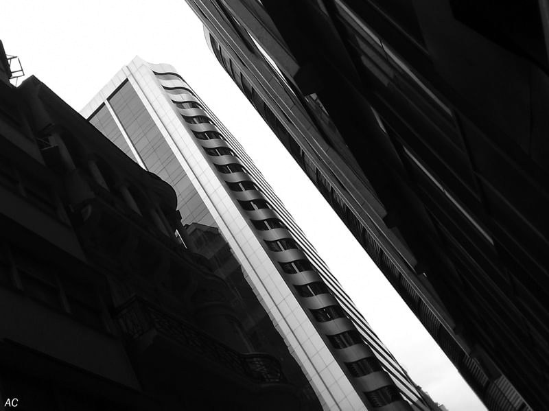 O CONTRASTE VIII