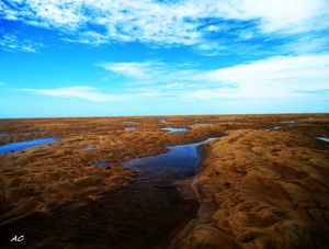 ÁGUA NO DESERTO